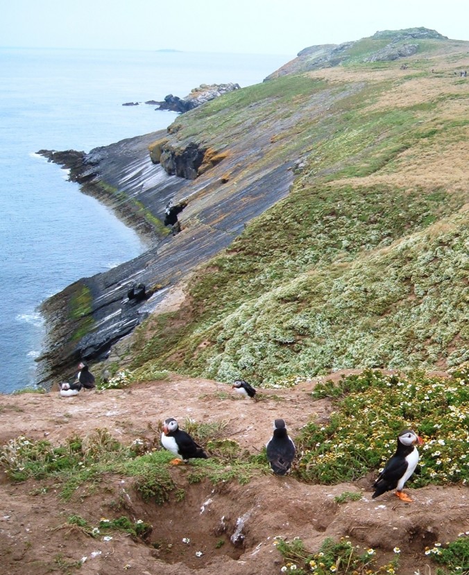 Wales Coast